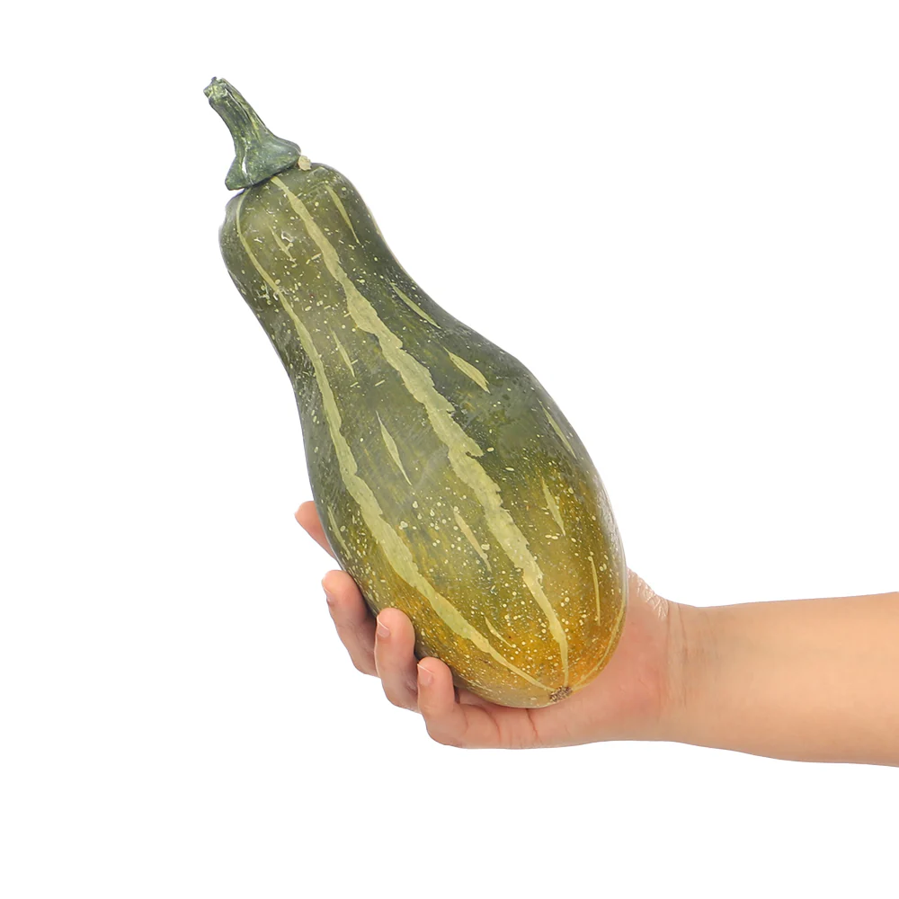 Faux Delicata Squash - Image 3
