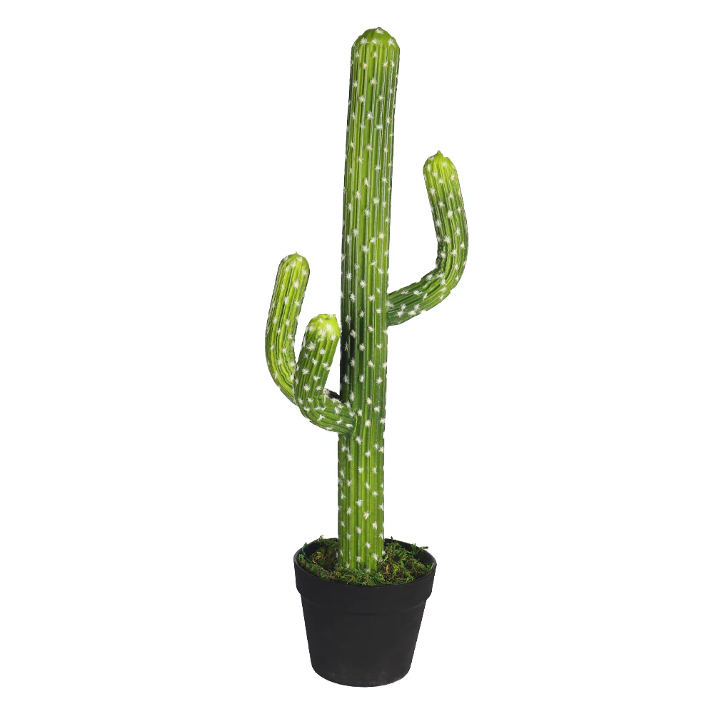 Faux Desert Cacti Plant (with black nursery pot) - Image 4