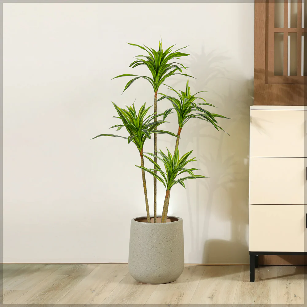Faux Dracaena Plant 160cm Tall - Image 9