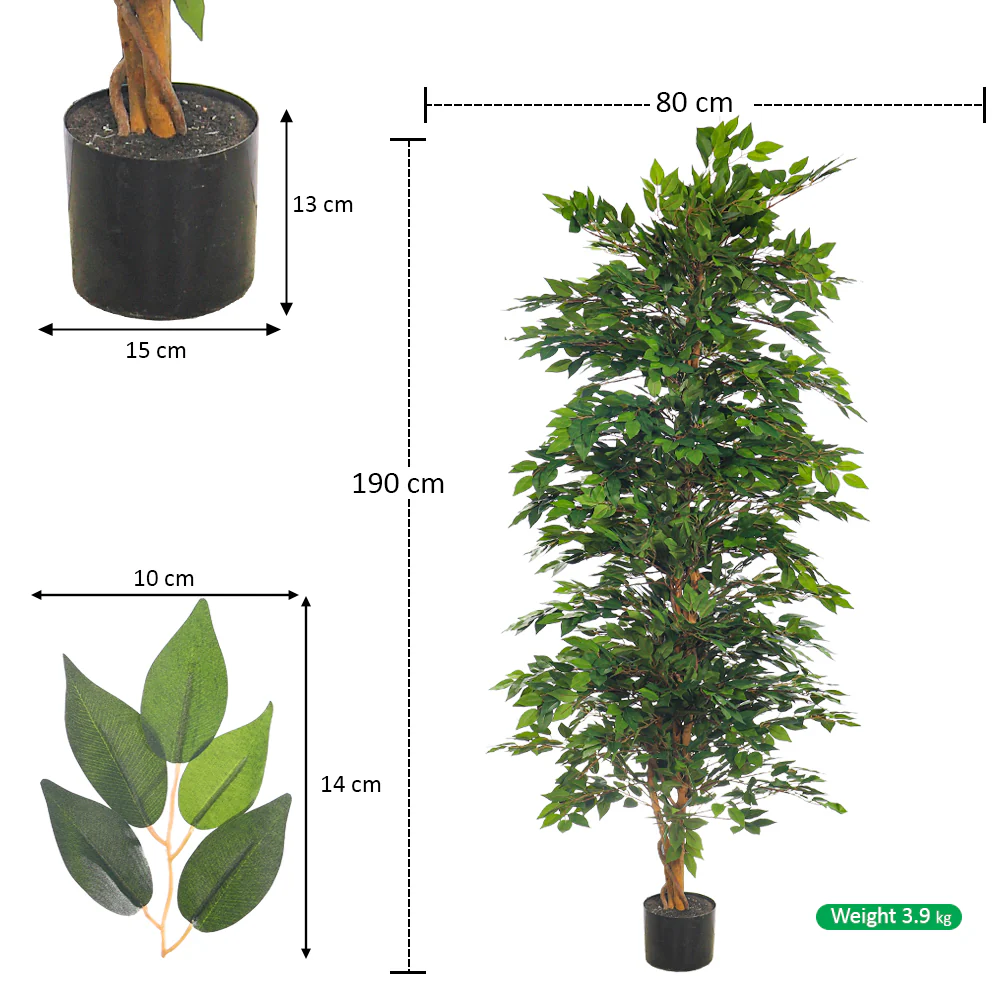 Faux Green Ficus Plant(with black nursery pot) - Image 11