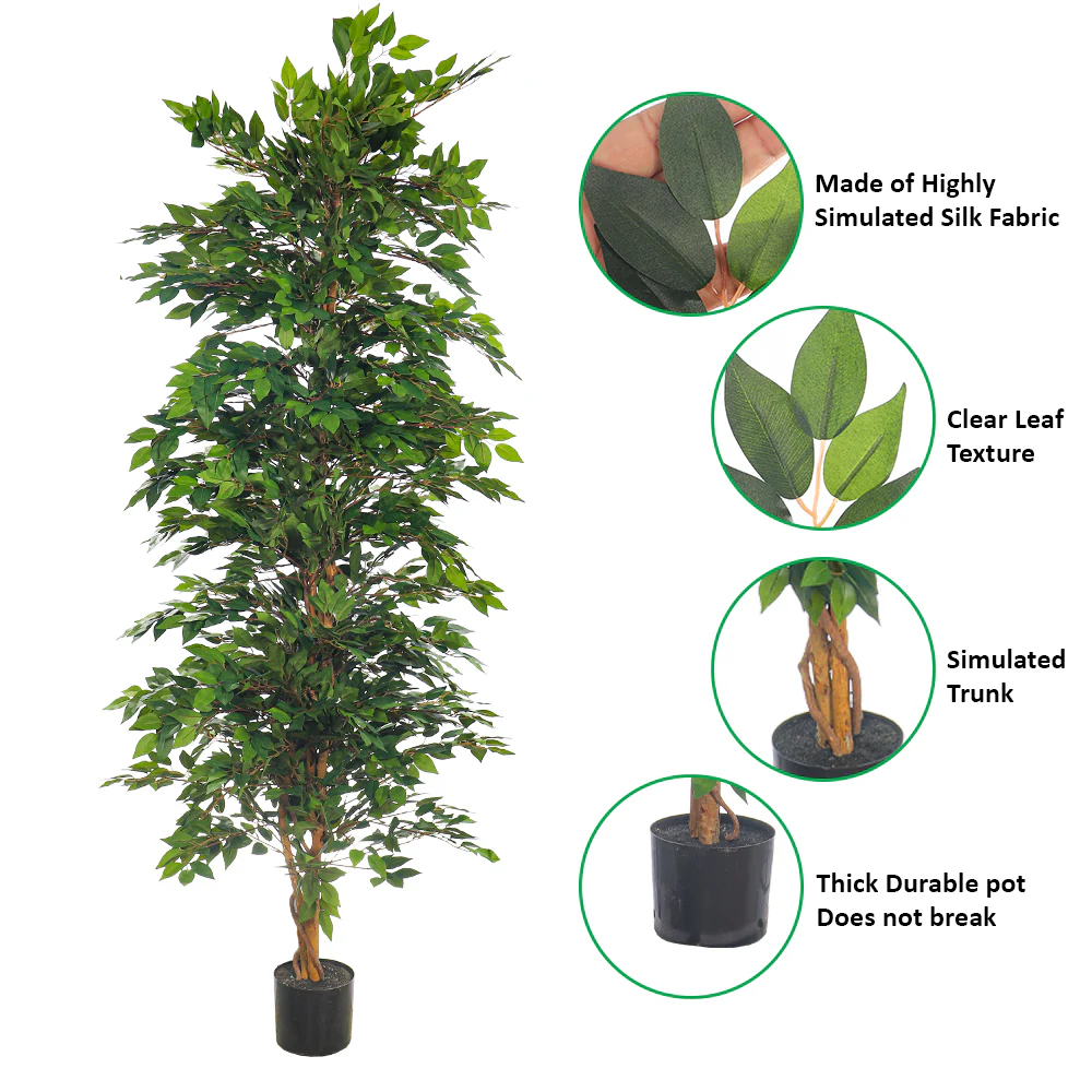 Faux Green Ficus Plant(with black nursery pot) - Image 12