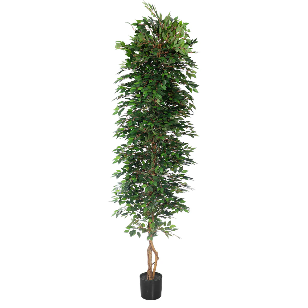 Faux Green Ficus Plant(with black nursery pot) - Image 13