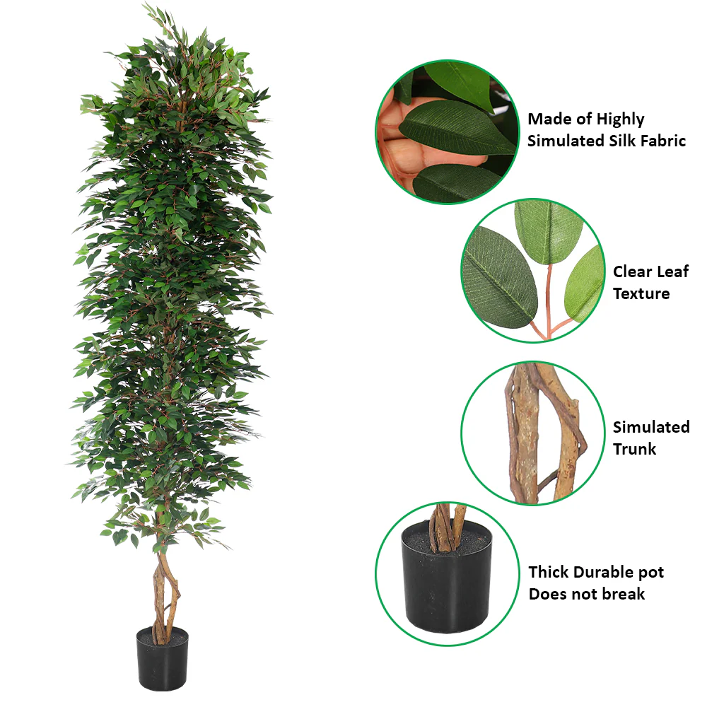 Faux Green Ficus Plant(with black nursery pot) - Image 17