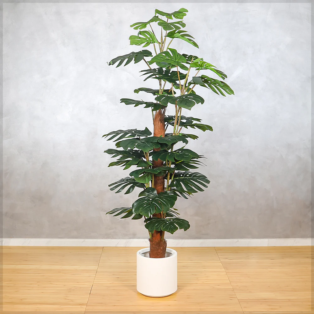 Faux Monstera Plants(with black nursery pot) - Image 7