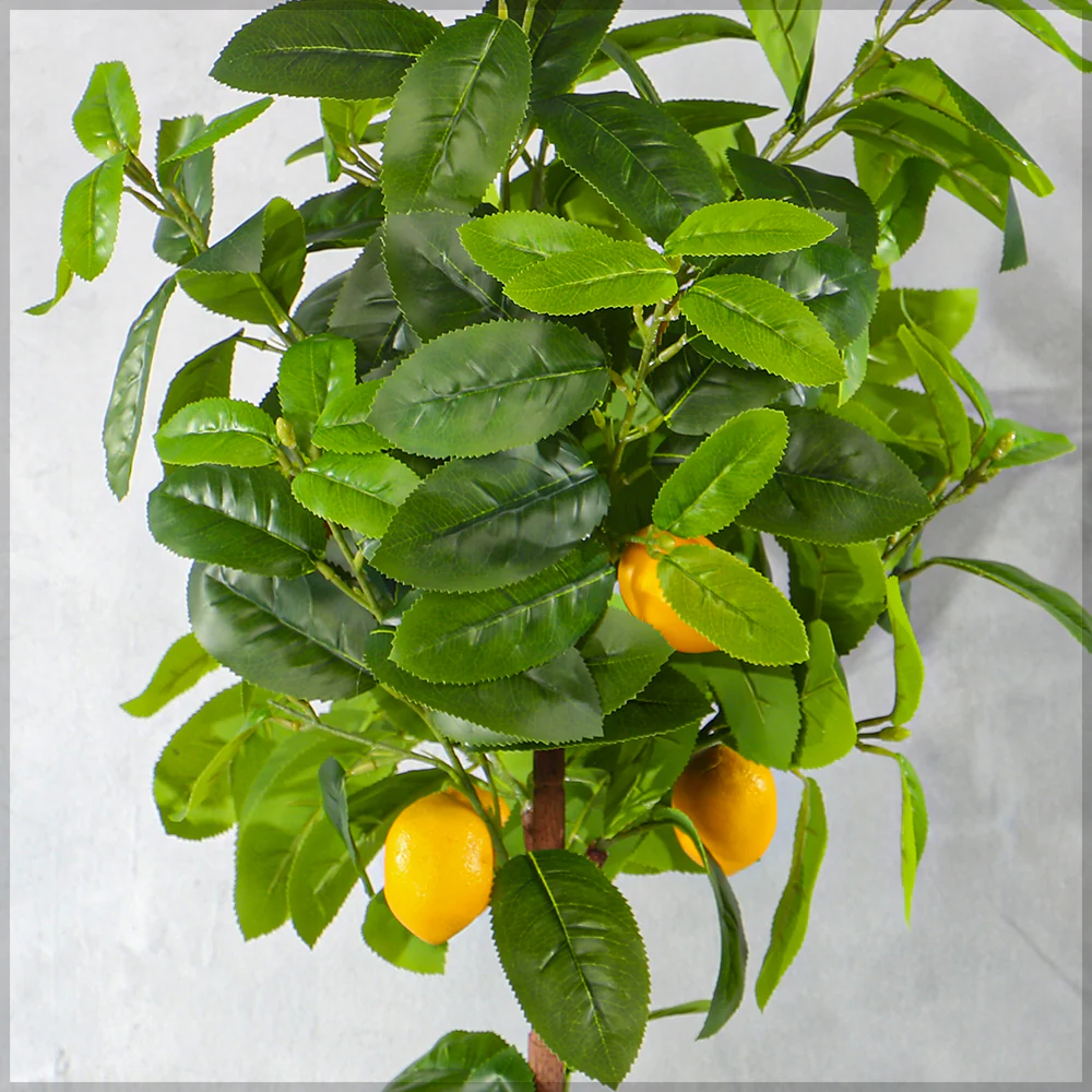 Faux Potted Lemon Plant(with black nursery pot) - Image 7