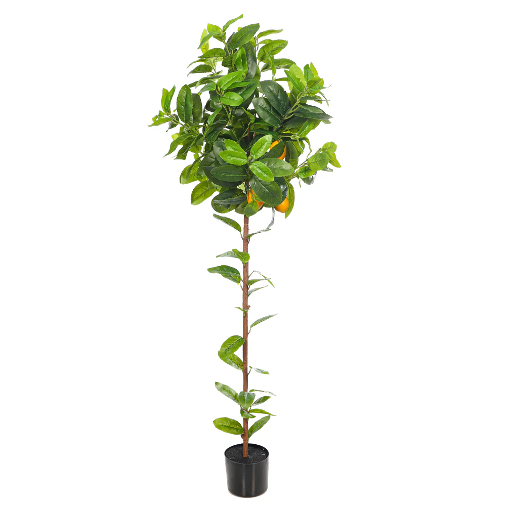Faux Potted Lemon Plant(with black nursery pot) - Image 9