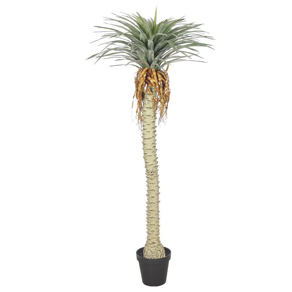 Faux Yucca Tree(with black nursery pot) - Image 6