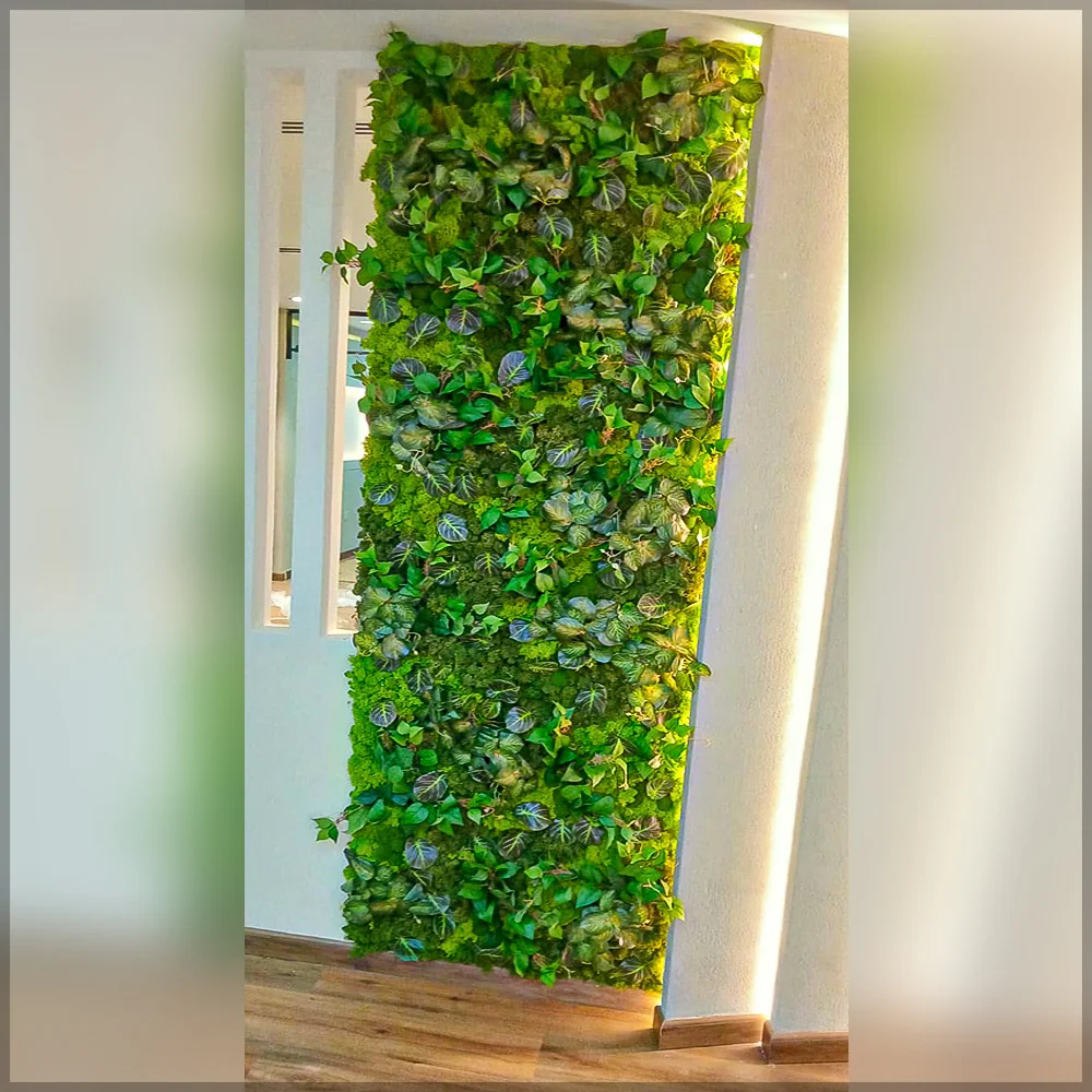Fresh Moss Wall Decoration for display purposes only (non-sale) - Image 4