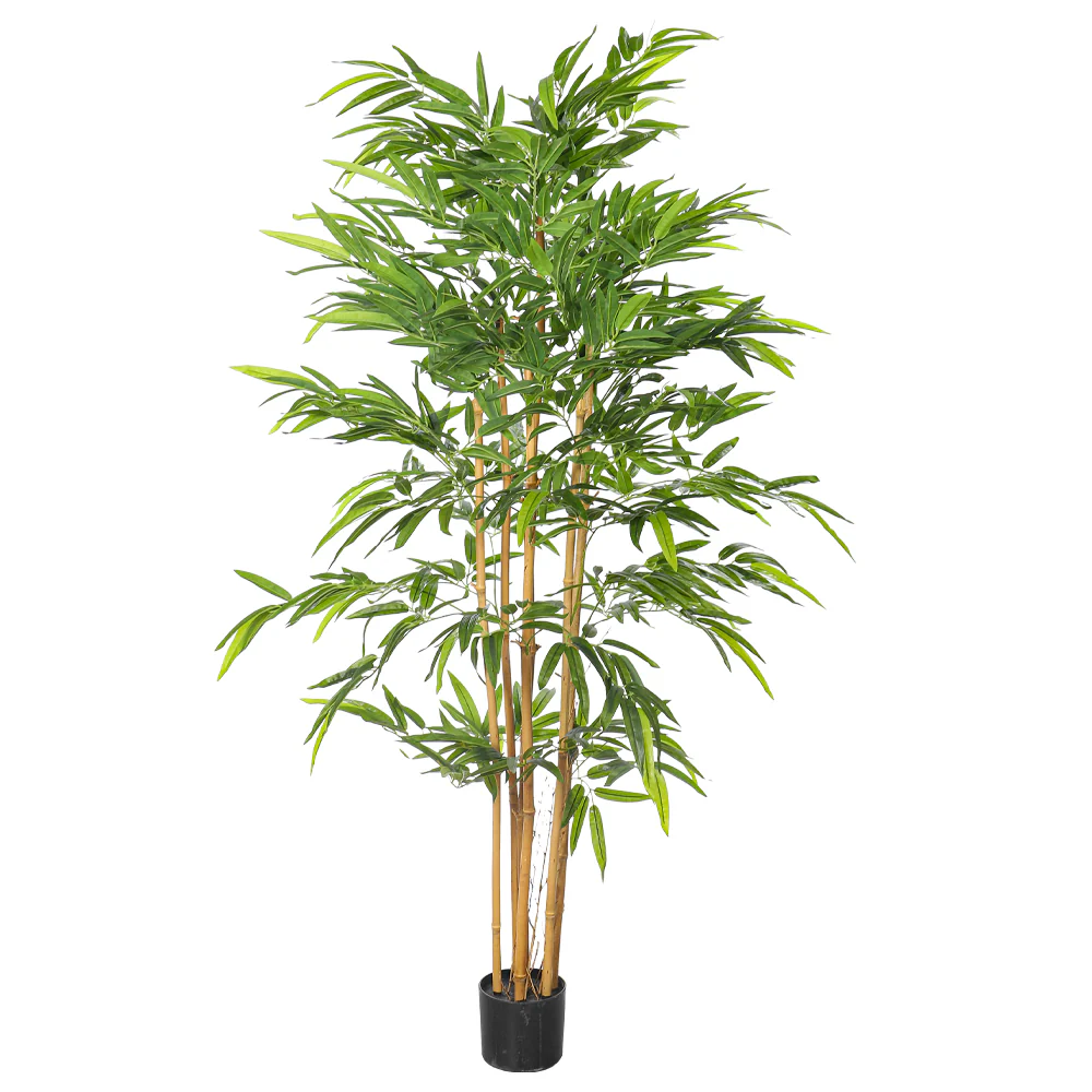 Faux Bamboo Plant with Real Dried Stems(with black nursery pot) - Image 4