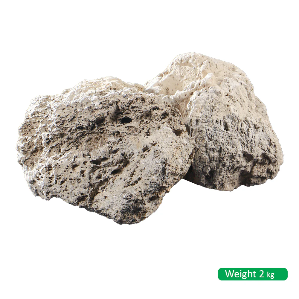 Garden Decoration Stone - Image 2