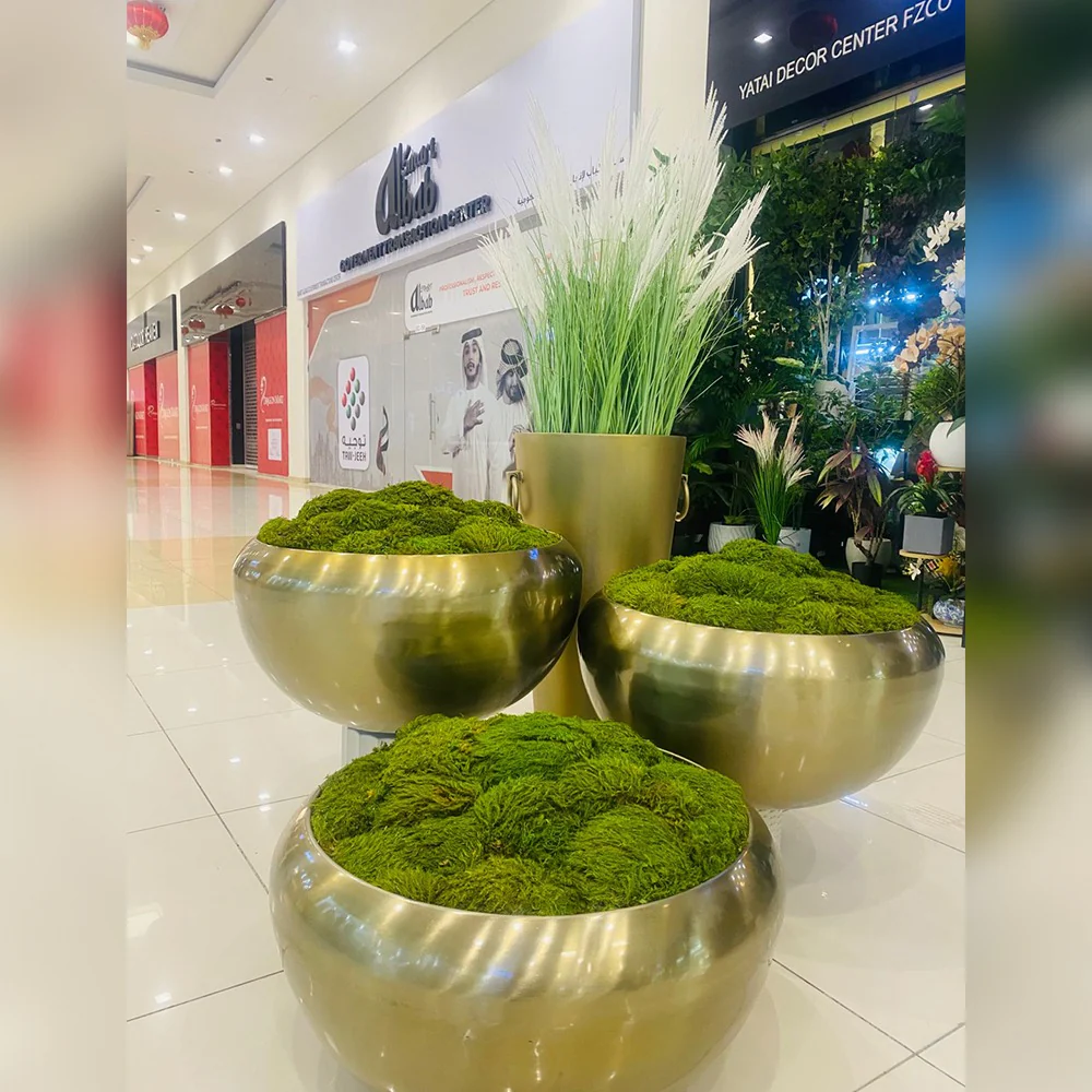 Golden Serenity: Modern Indoor Greenery for display purposes only (non-sale) - Image 2