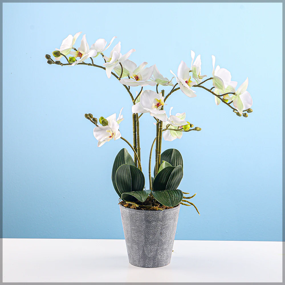 Gray Plastic Planter Pot - Image 6