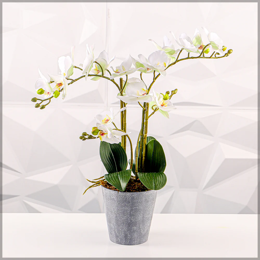 Gray Plastic Planter Pot - Image 7