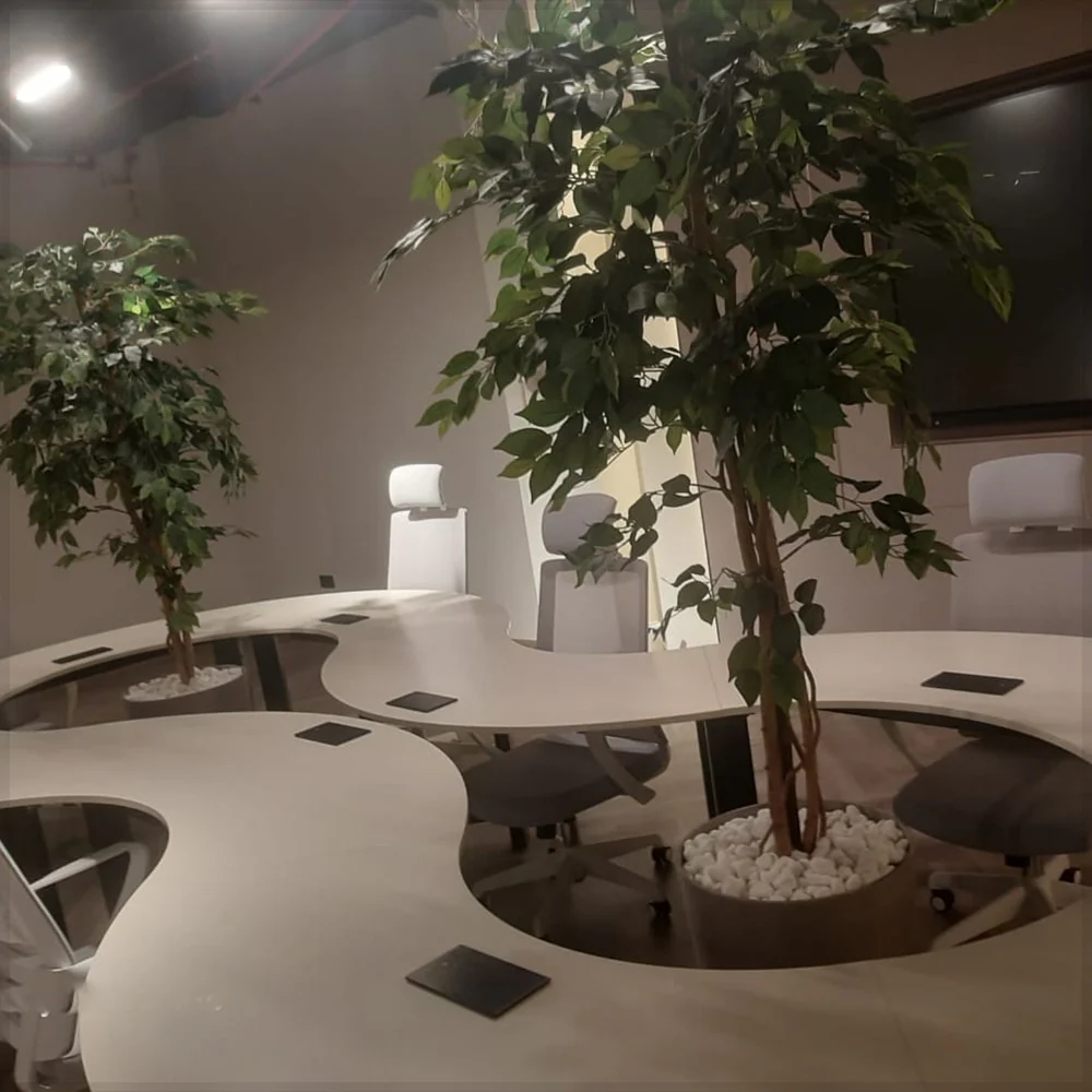 Green-Core Collaborative Workspace for display purposes only (non-sale) - Image 2