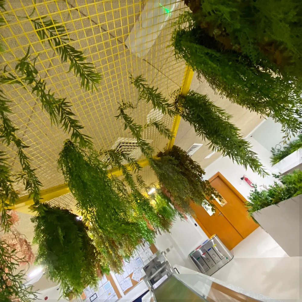 Green Corner at the Café Bar with Hanging Garden Glow for display purposes only (non-sale) - Image 9