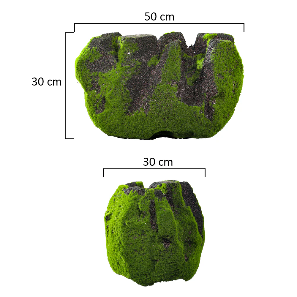 1 Piece Green Moss and Stone - Image 5