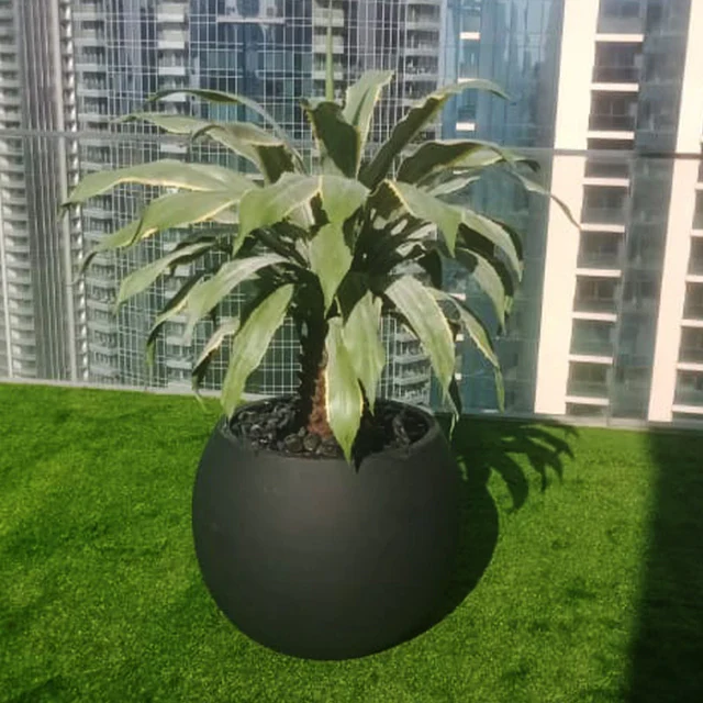 Green wall arrangements + Cactus Landscape for display purposes only (non-sale) - Image 3