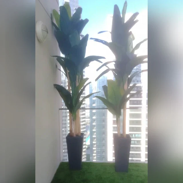 Green wall arrangements + Cactus Landscape for display purposes only (non-sale) - Image 4