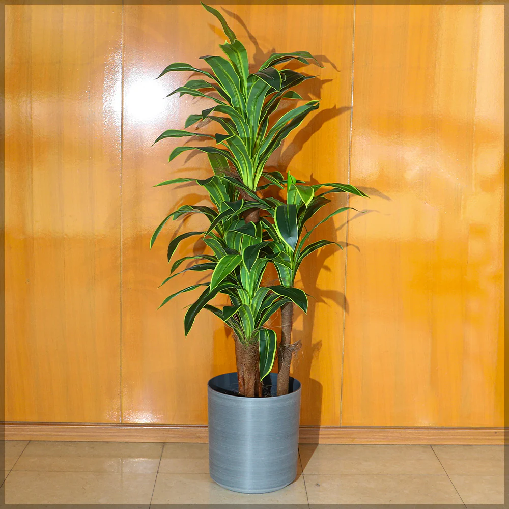 Grey color plastic plant pots - Image 4