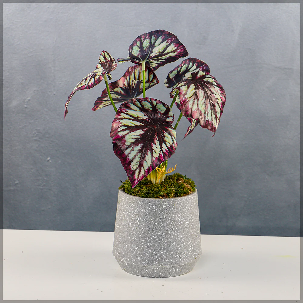 Grey Plastic Pots - Image 6