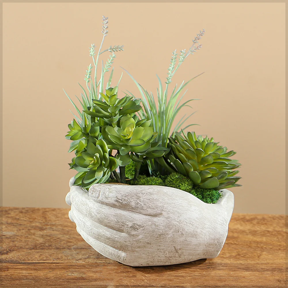 Hands of Nature Succulent Arrangement (1Pc) - Image 4