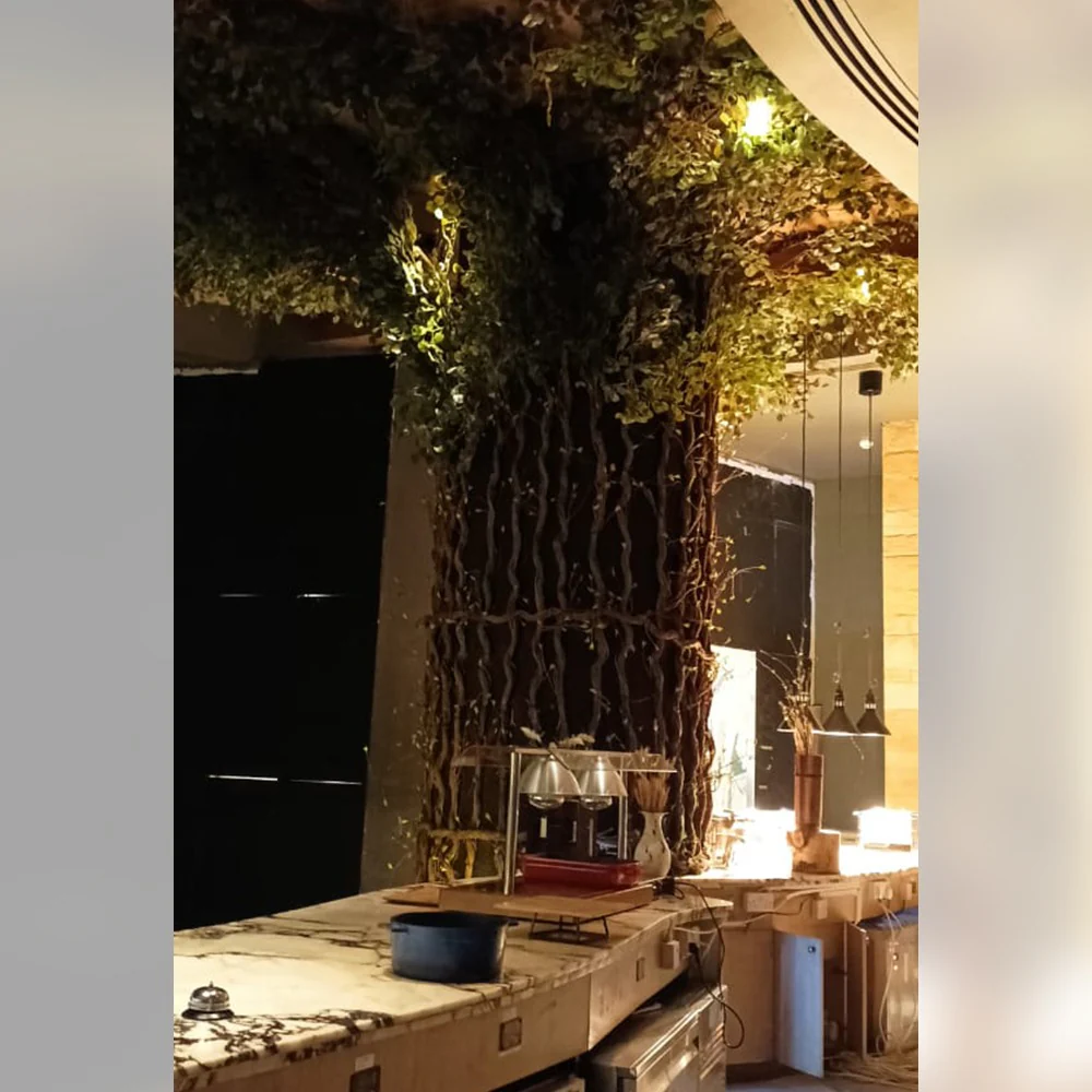 Huge Tree Wall to Ceiling Decoration for display purposes only (non-sale) - Image 3