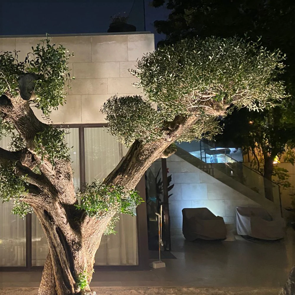 Illuminated Feature Tree for Luxury Outdoor Landscapes for display purposes only (non-sale) - Image 3