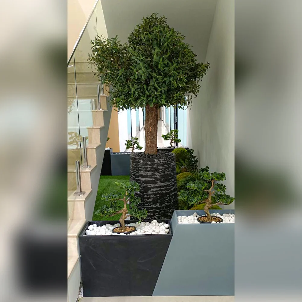 Landscape Project for Indoor for display purposes only (non-sale) - Image 8