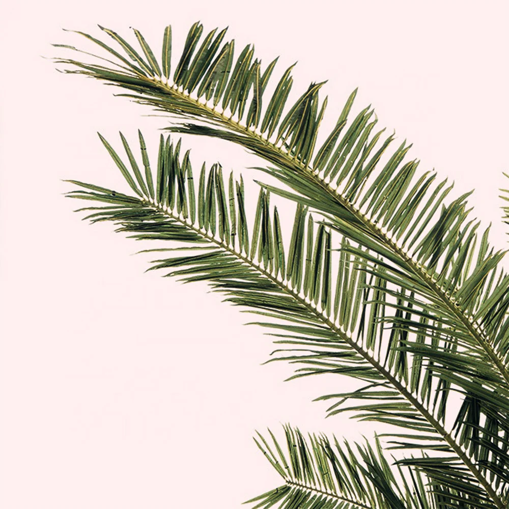 Large Artificial Phoenix Date Palm Tree - Image 6