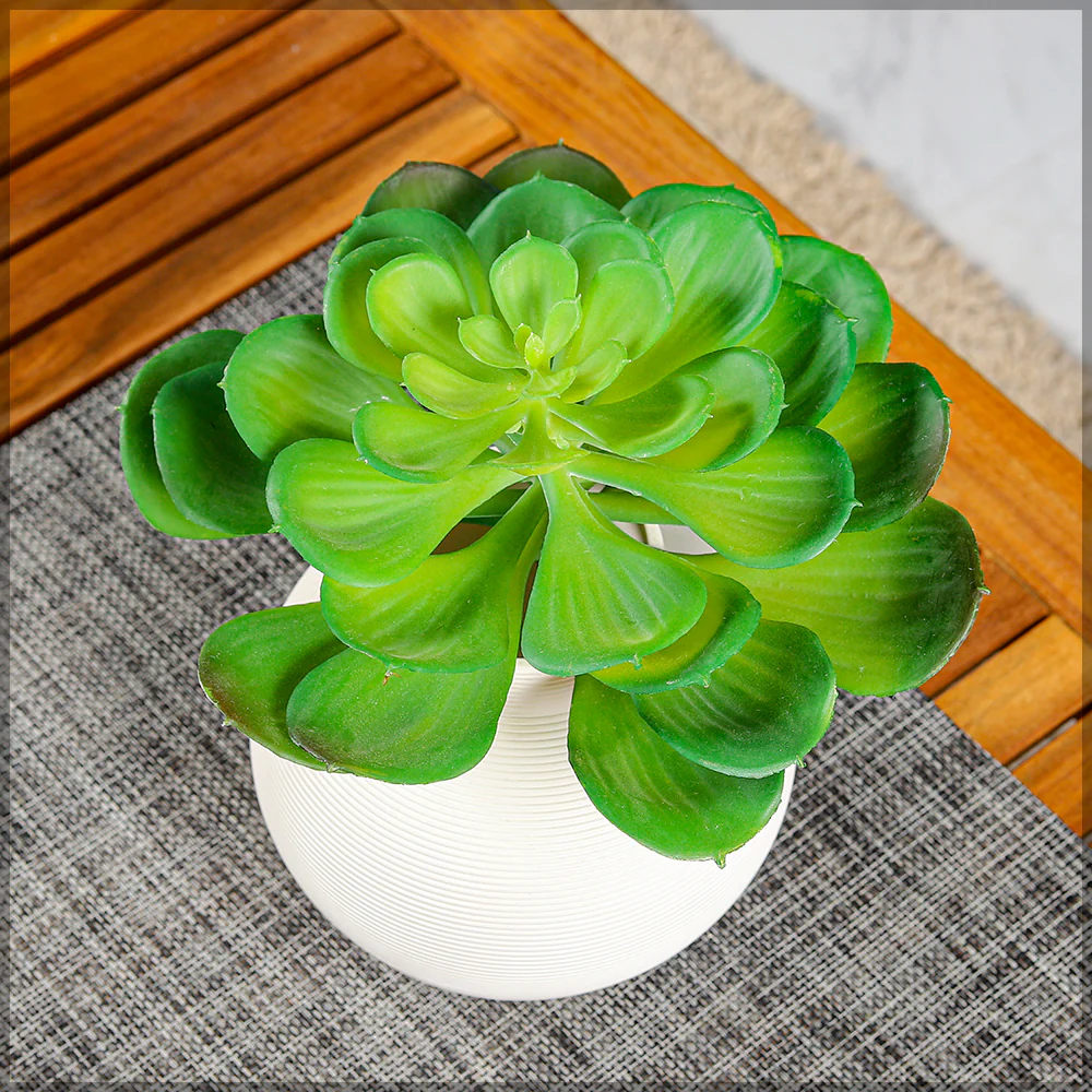 Large Echeveria Artificial Succulent - Image 10