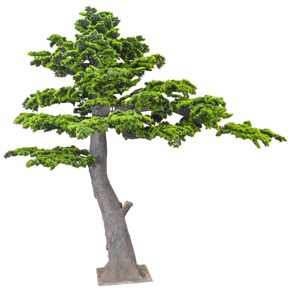 Layered Evergreen Bonsai Tree