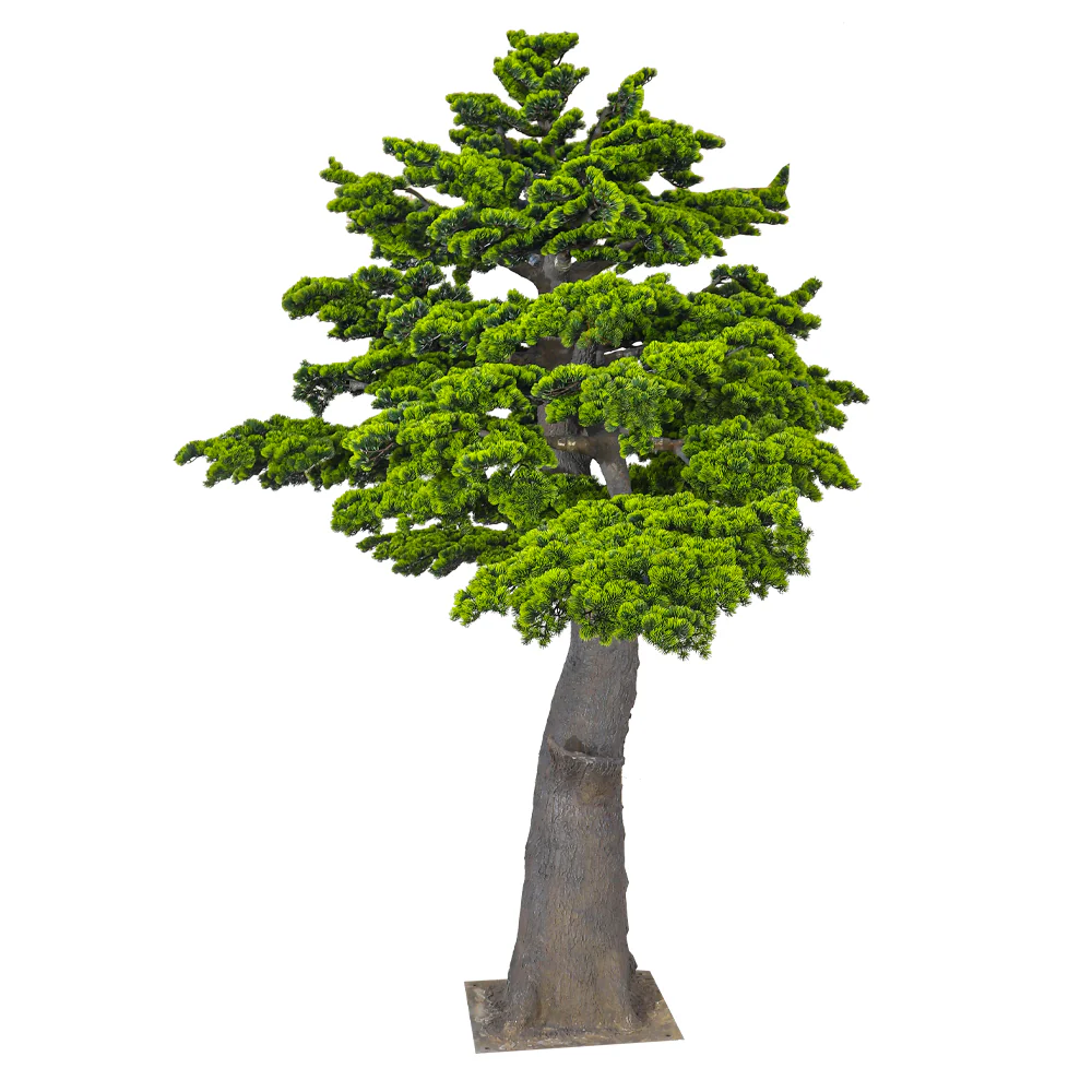 Layered Evergreen Bonsai Tree - Image 4
