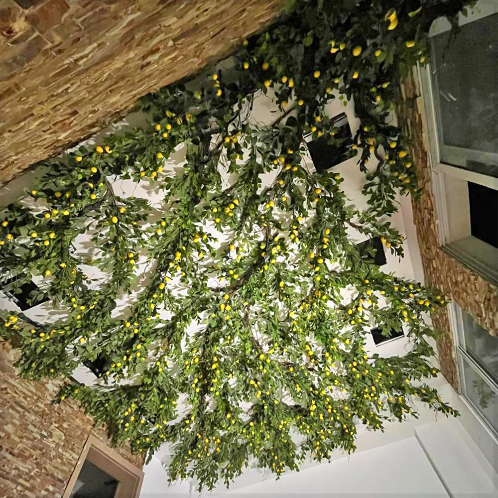 Lemon Tree Under the Sky for display purposes only (non-sale) - Image 2