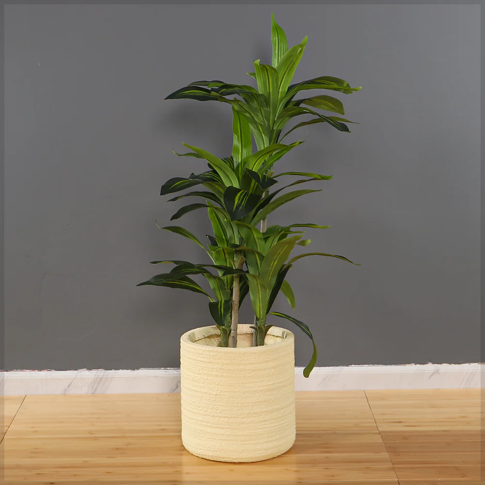 Light Beige Concrete Planter - Image 4