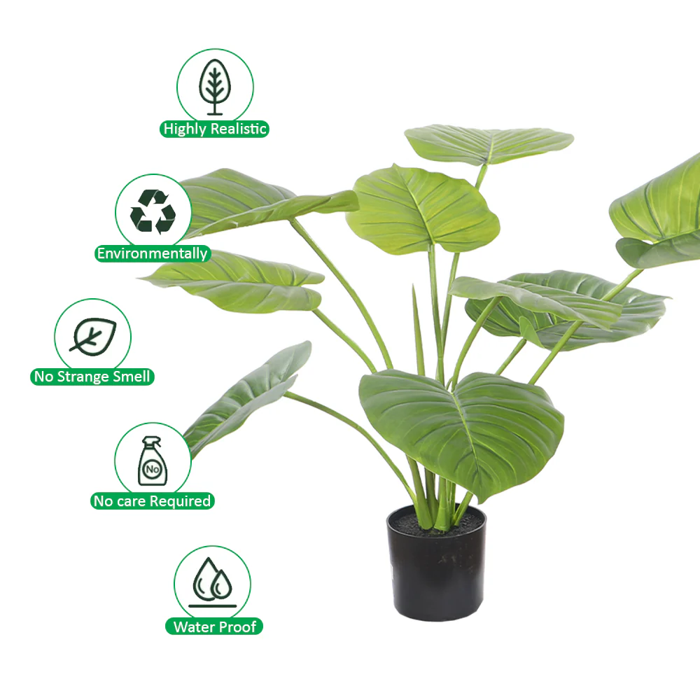 Lush Elephant Ear Style Tropical Plant in Black Pot - Image 4