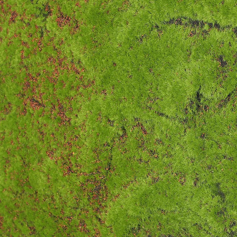 Lush Moss Panel - Image 3