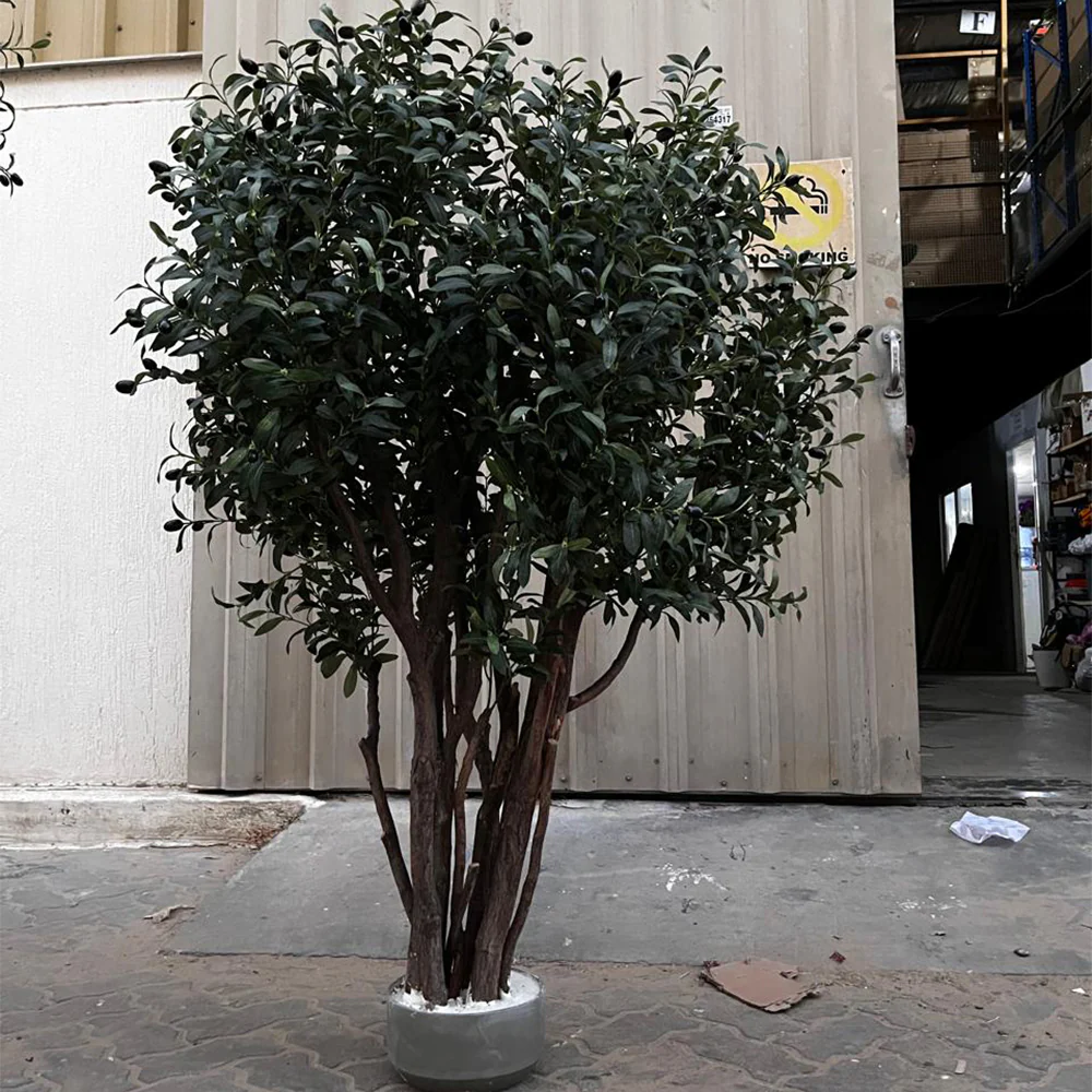 Midnight Olive Tree