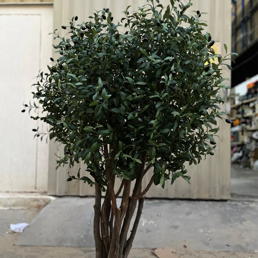Midnight Olive Tree - Image 2