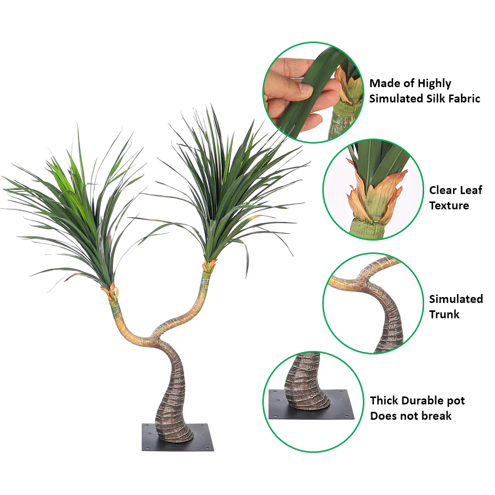 Mini Desert Yucca Plant - Image 5