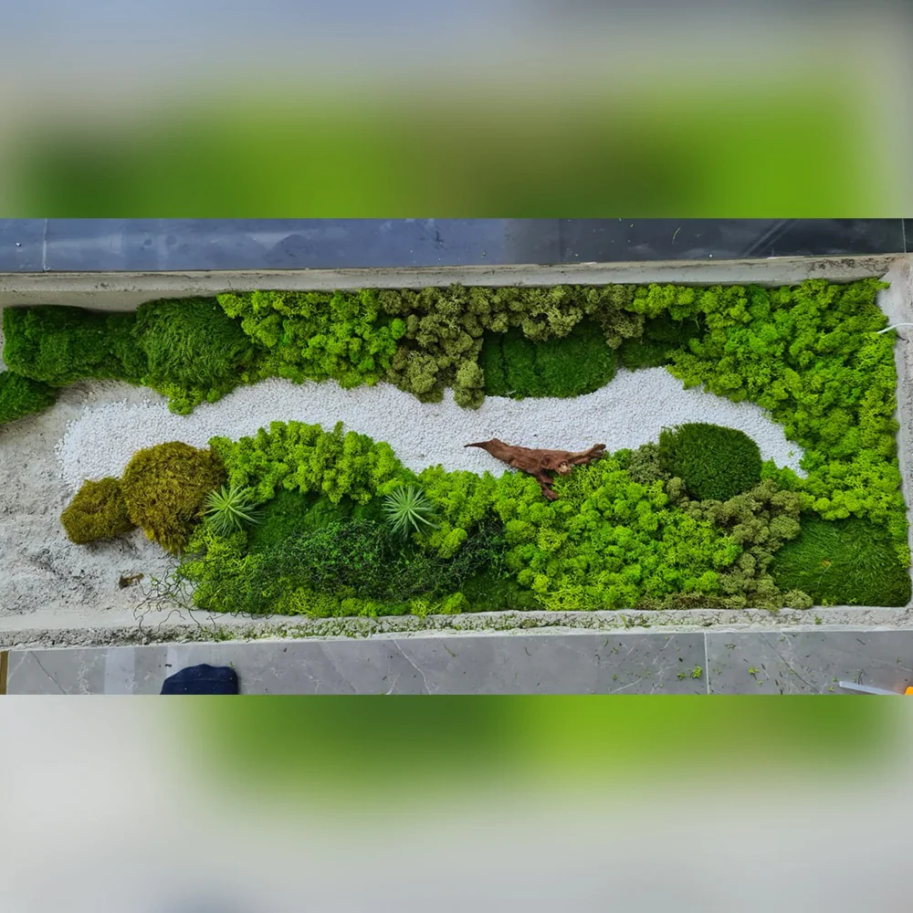 Mini Landscape Design for display purposes only (non-sale) - Image 4