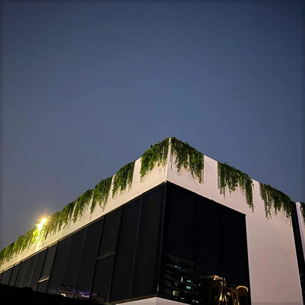 Modern Building with Greenery Accent for display purposes only (non-sale) - Image 4