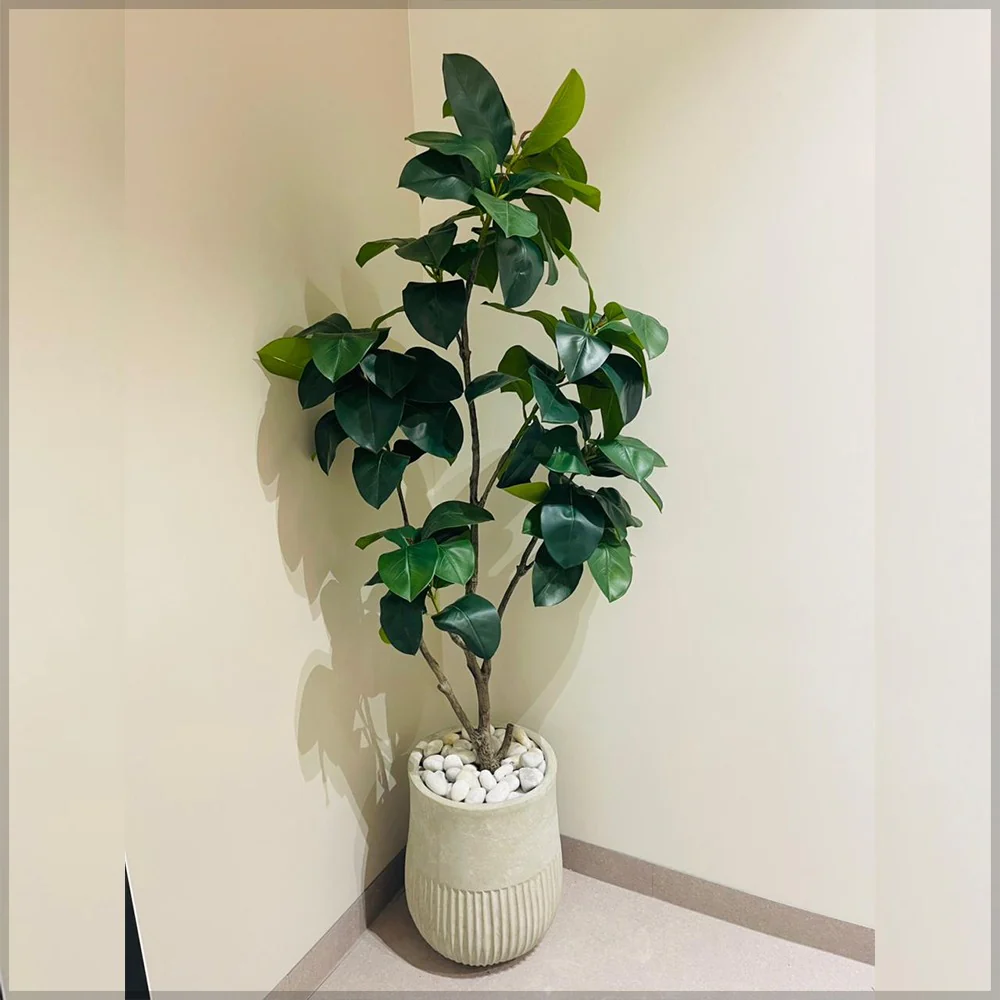 Modern Indoor Greenery Arrangement for display purposes only (non-sale) - Image 4
