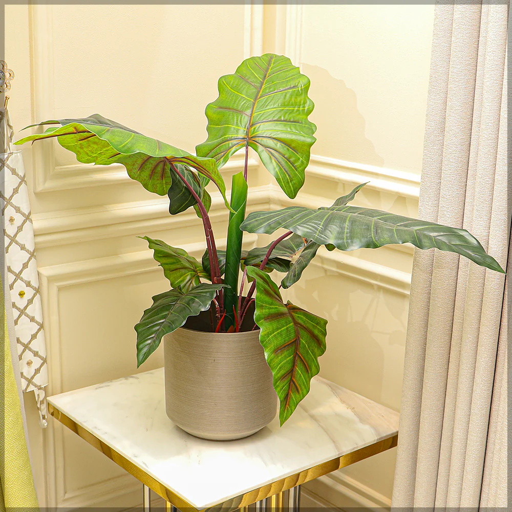 Modern Plastic Pot - Image 8