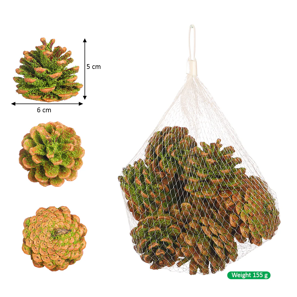 Moss-Covered Pinecones - Image 2