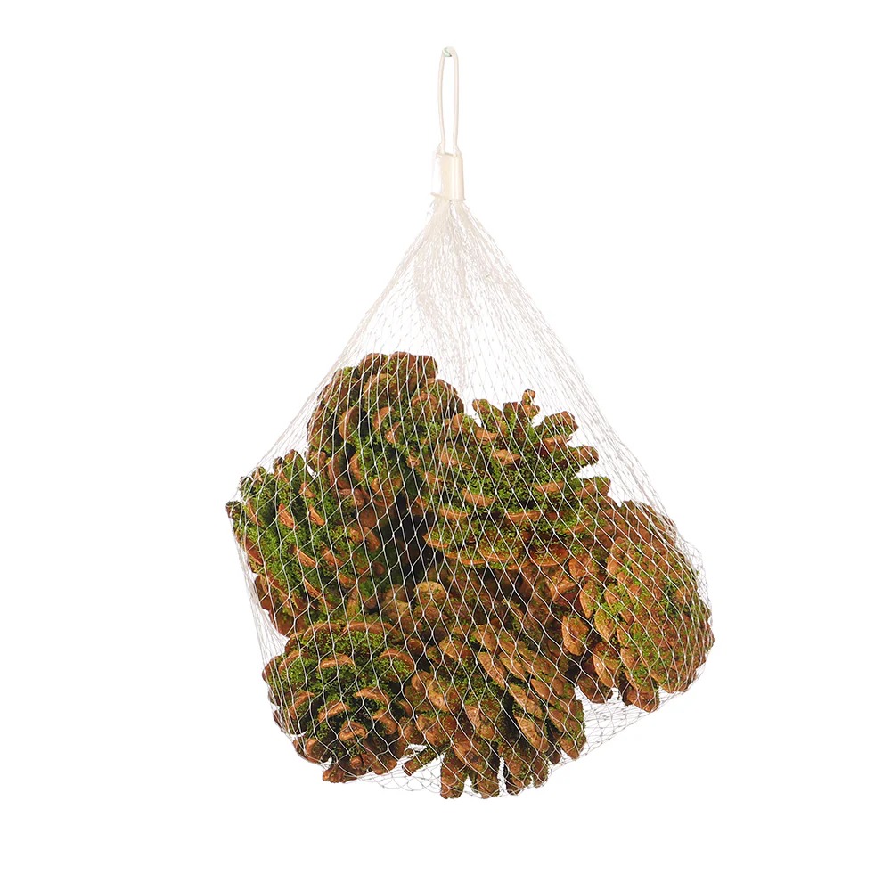 Moss-Covered Pinecones - Image 3