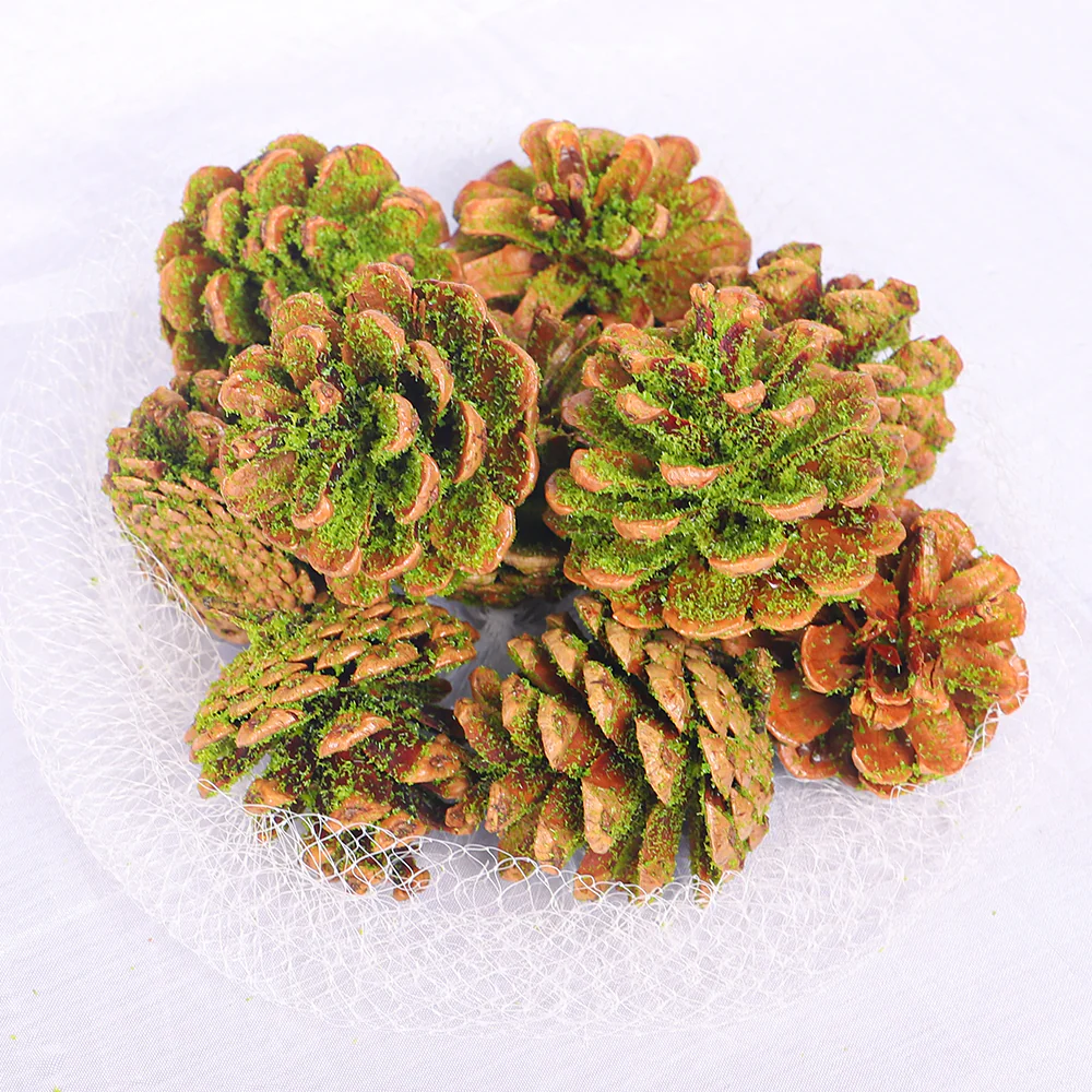 Moss-Covered Pinecones - Image 4