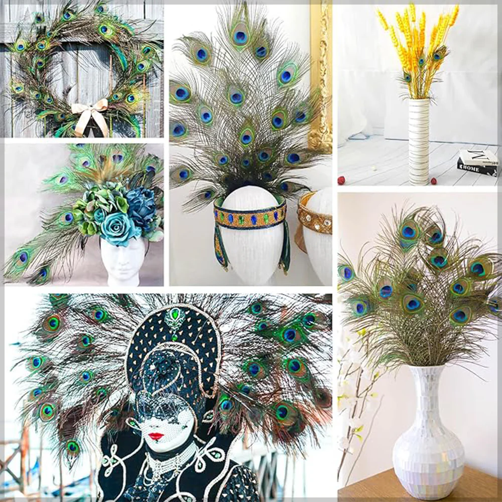 Natural Decorative Peacock Feather - Image 19
