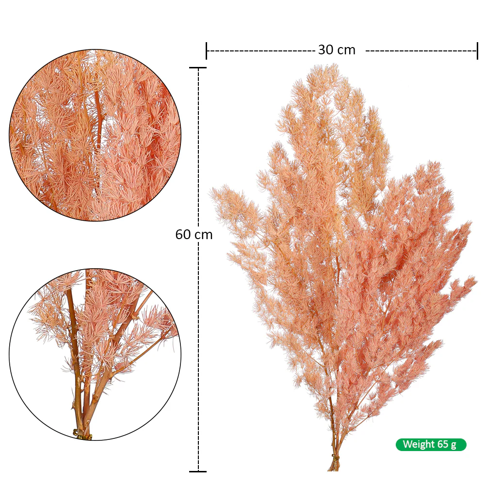 Natural Dried Fern Branch(without vase) - Image 10