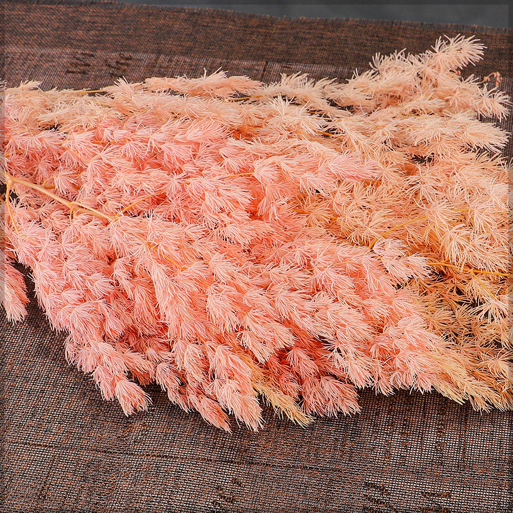Natural Dried Fern Branch(without vase) - Image 12