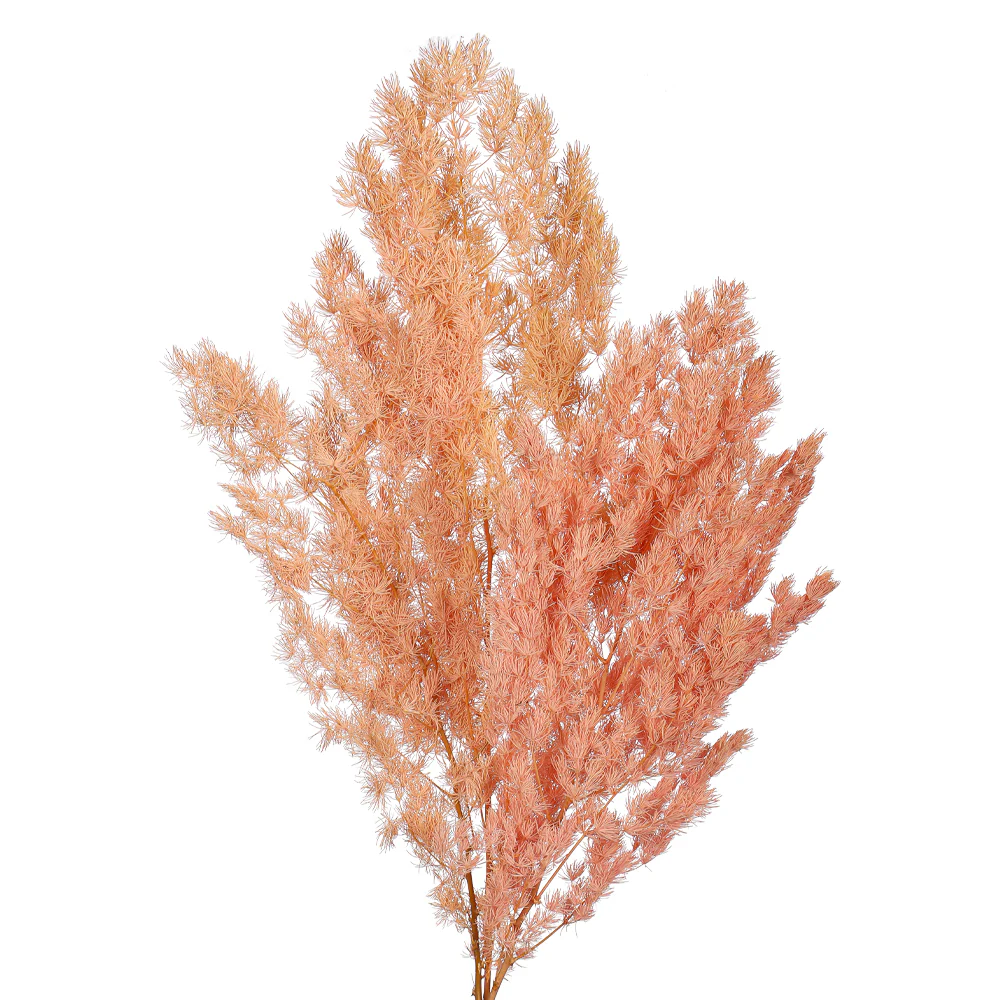 Natural Dried Fern Branch(without vase) - Image 13